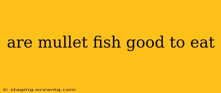 are mullet fish good to eat