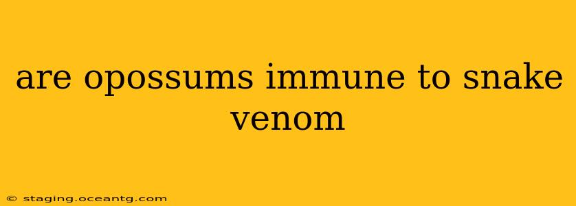 are opossums immune to snake venom