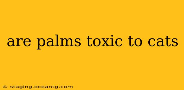 are palms toxic to cats