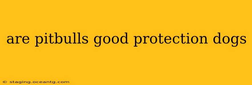 are pitbulls good protection dogs