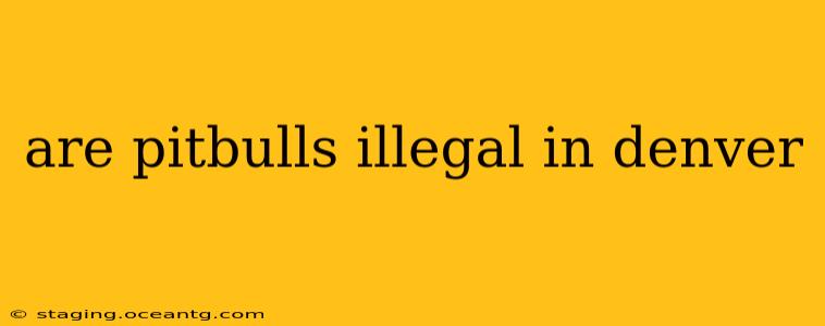 are pitbulls illegal in denver
