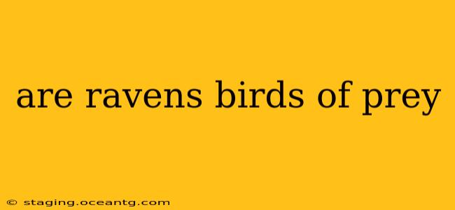 are ravens birds of prey