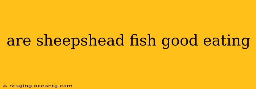 are sheepshead fish good eating