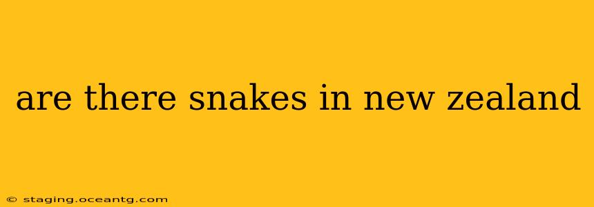 are there snakes in new zealand