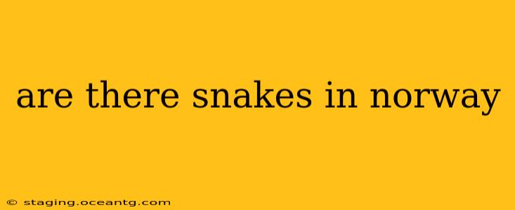 are there snakes in norway