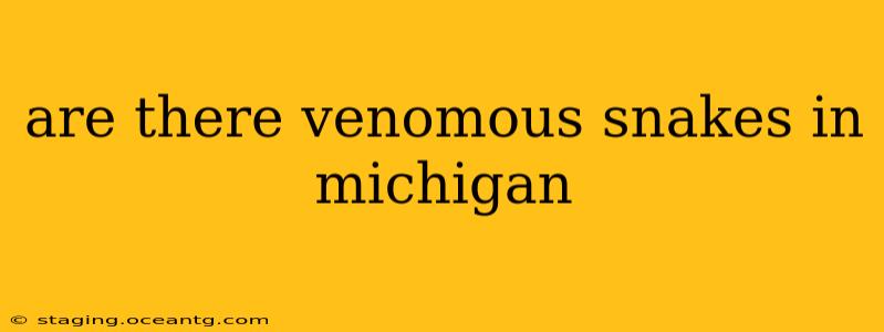 are there venomous snakes in michigan