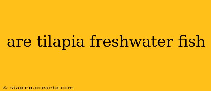 are tilapia freshwater fish