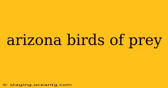 arizona birds of prey