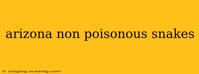 arizona non poisonous snakes