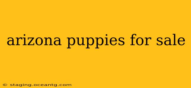 arizona puppies for sale