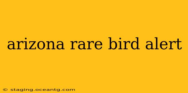 arizona rare bird alert