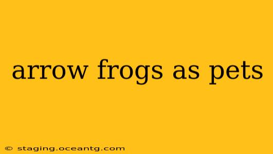 arrow frogs as pets