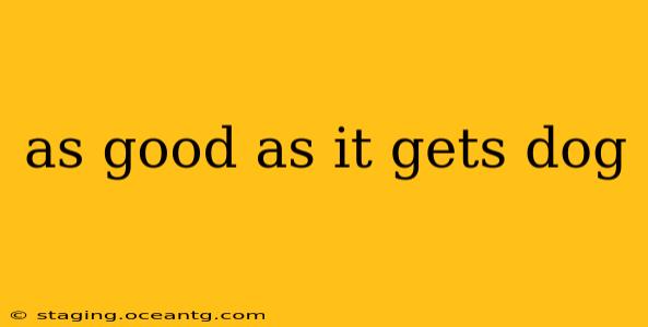 as good as it gets dog