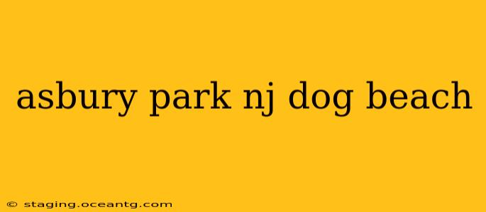 asbury park nj dog beach
