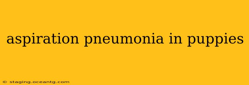 aspiration pneumonia in puppies