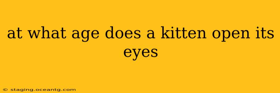 at what age does a kitten open its eyes