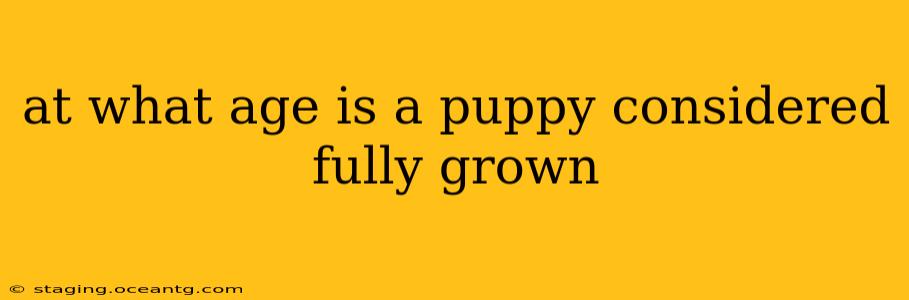 at what age is a puppy considered fully grown