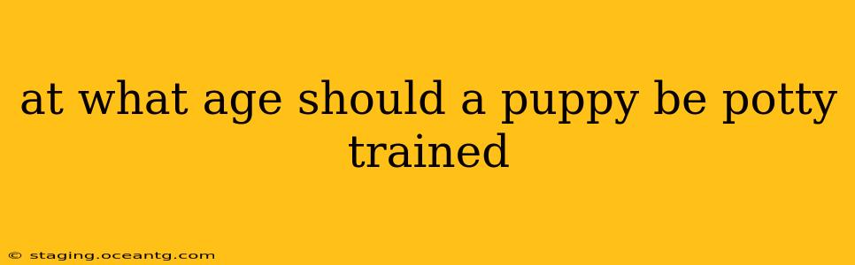 at what age should a puppy be potty trained