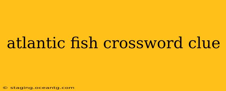 atlantic fish crossword clue