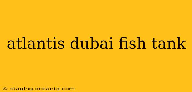 atlantis dubai fish tank
