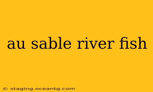 au sable river fish
