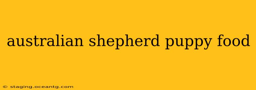 australian shepherd puppy food