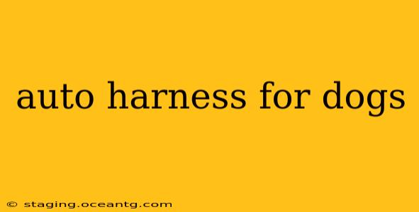 auto harness for dogs