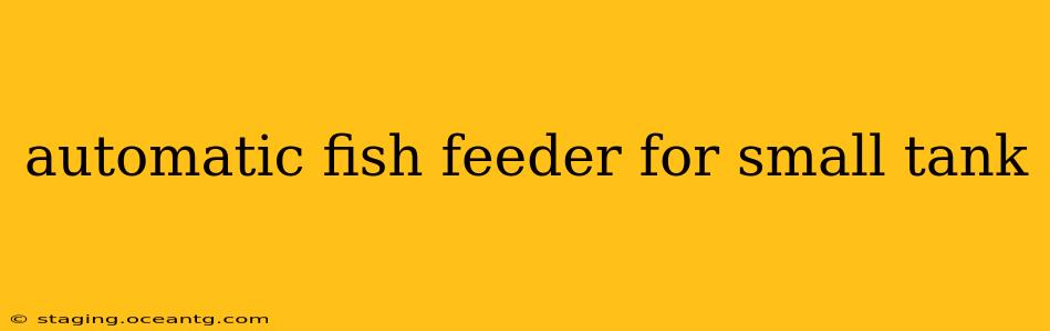 automatic fish feeder for small tank