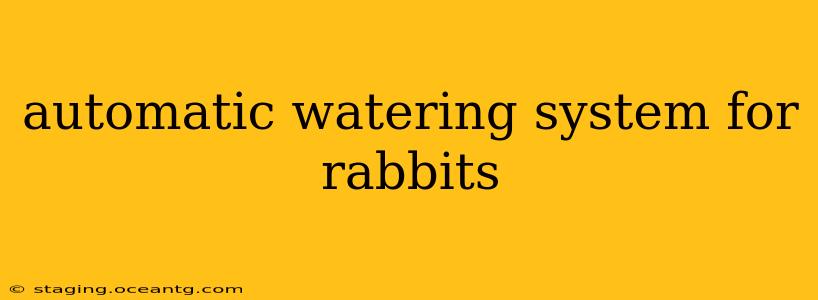 automatic watering system for rabbits