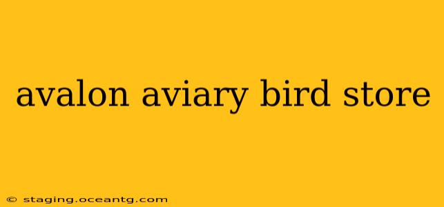 avalon aviary bird store