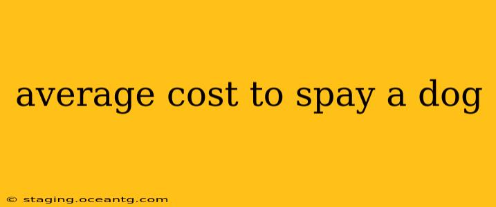 average cost to spay a dog