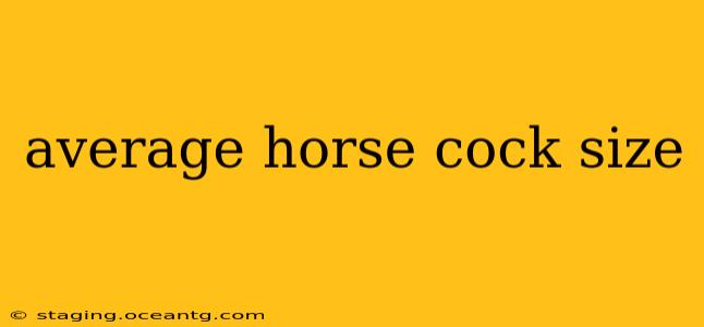 average horse cock size