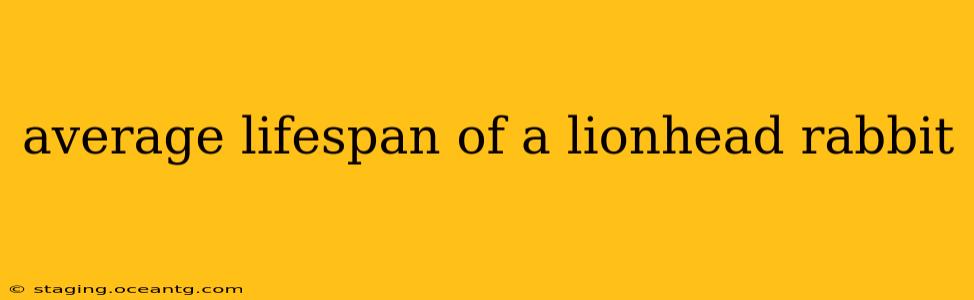 average lifespan of a lionhead rabbit