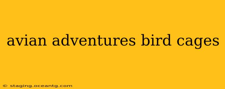 avian adventures bird cages
