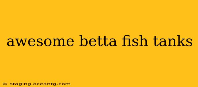 awesome betta fish tanks