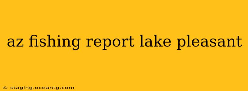 az fishing report lake pleasant