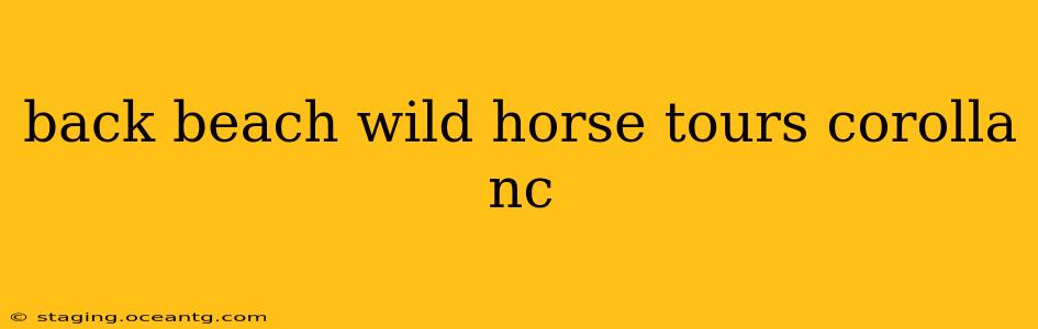 back beach wild horse tours corolla nc
