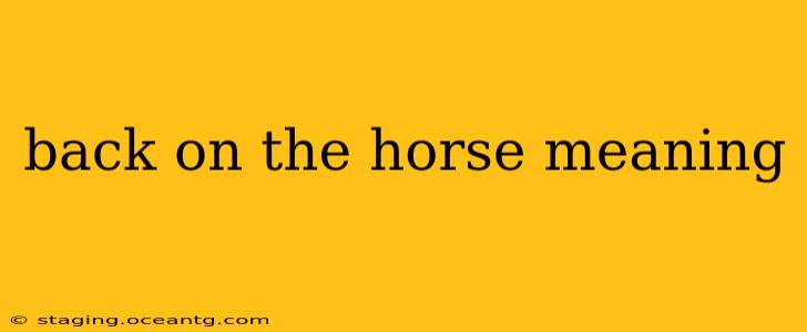 back on the horse meaning