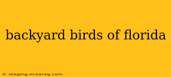 backyard birds of florida