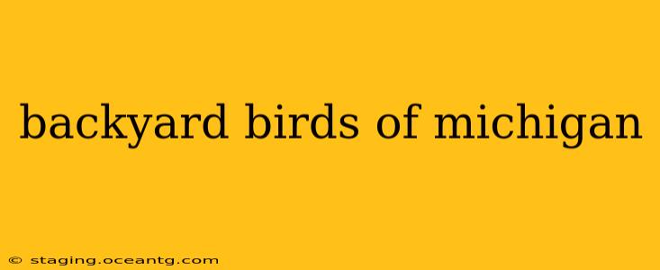 backyard birds of michigan