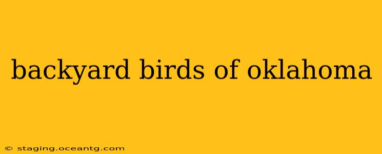backyard birds of oklahoma