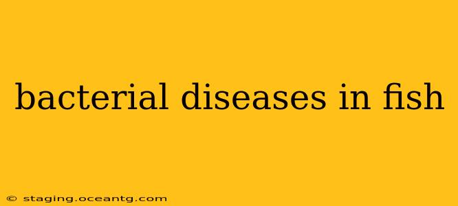 bacterial diseases in fish