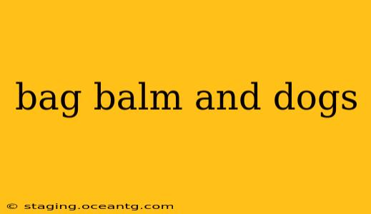 bag balm and dogs