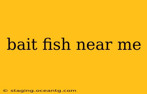 bait fish near me
