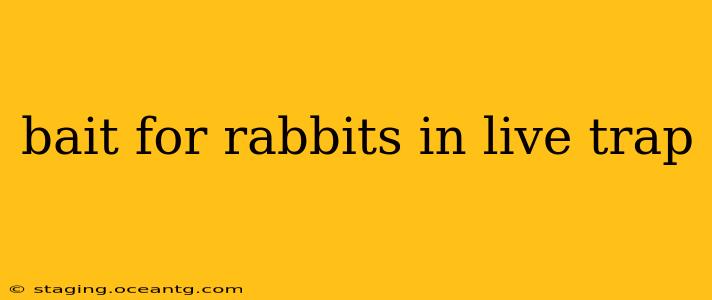 bait for rabbits in live trap