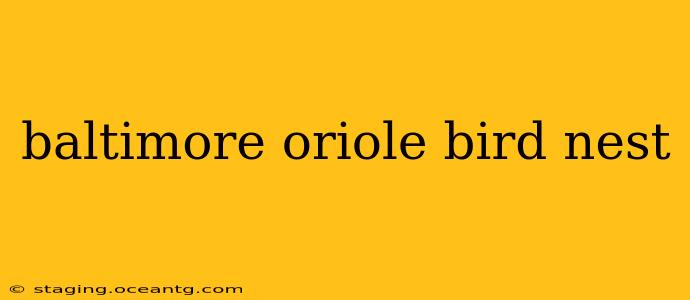 baltimore oriole bird nest
