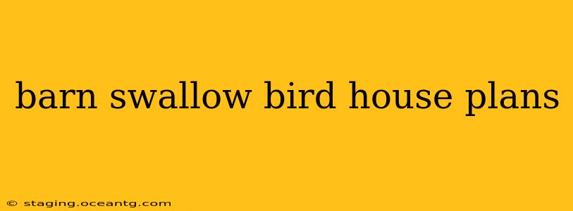 barn swallow bird house plans