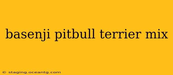 basenji pitbull terrier mix