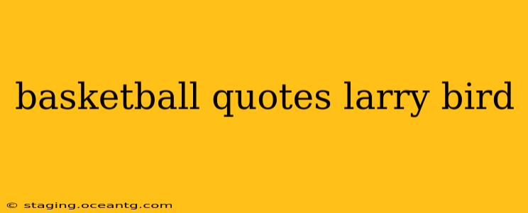 basketball quotes larry bird