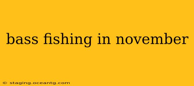 bass fishing in november